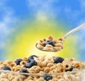 Bowl of oat cereal with blueberry and spoon Royalty Free Stock Photo