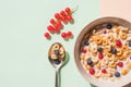 Bowl of oat cereal with blueberry,red currant and spoon.Oat ring cereal with berries and milk.concept of healthy Royalty Free Stock Photo