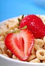 Bowl of oat cereal with strawberries Royalty Free Stock Photo