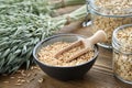 Bowl of oat grains, jars of oat flakes and green oat ears on wooden table