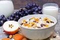 Bowl of oat muesli with fresh and dried fruits, berries, honey and nuts Royalty Free Stock Photo