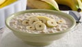 A bowl of oatmeal with banana slices in it