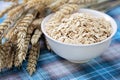 Bowl of oats Royalty Free Stock Photo