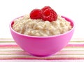 Bowl of oats porridge Royalty Free Stock Photo