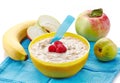 Bowl of oats porridge Royalty Free Stock Photo