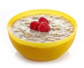 Bowl of oats porridge Royalty Free Stock Photo