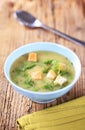 Bowl of pea soup Royalty Free Stock Photo