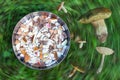 bowl with pieces of edible autumn mushrooms, green grass background with twirl effect and different mushrooms, top view Royalty Free Stock Photo