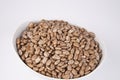 pinto beans Royalty Free Stock Photo
