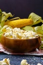 Fresh corn and popcorn on cobs on black background. Vertical photo. Copyspace Royalty Free Stock Photo