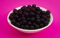 Bowl of Popping Boba Pearls on a Bright Pink Background