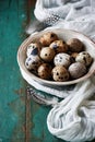 Bowl of quail's eggs on old painted table Royalty Free Stock Photo