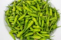 Bowl of radish seed pods close up.