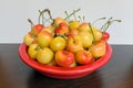 Bowl of Rainier Cherries Macro Closeup Royalty Free Stock Photo