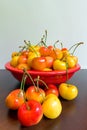 Bowl of Rainier Cherries Royalty Free Stock Photo