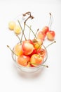 Bowl rainier yellow cherry, colorful dessert Royalty Free Stock Photo
