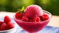 a bowl of raspberry ice cream