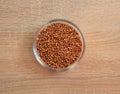 Bowl of raw sorghum grain Royalty Free Stock Photo