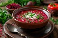 Bowl of red beet root soup borsch