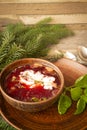 A bowl of red borshch or borsh, a beetroot soup with pork and vegetables, served with sour cream and herbs Royalty Free Stock Photo