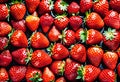 A bowl of red strawberries, a seedless fruit, with green leaves on a table Royalty Free Stock Photo