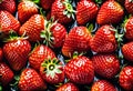 A bowl of red strawberries, a seedless fruit, with green leaves on a table Royalty Free Stock Photo