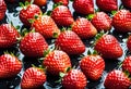 A bowl of red strawberries, a seedless fruit, with green leaves on a table Royalty Free Stock Photo