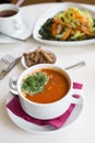 Bowl of red tomato soup with croutons Royalty Free Stock Photo