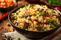 A bowl of rice with meat and vegetables Royalty Free Stock Photo