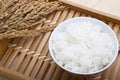 Bowl of rice and paddy Royalty Free Stock Photo