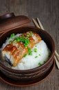 Bowl of rice topped with broiled eel in unagi sauce. Royalty Free Stock Photo