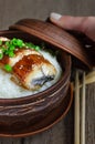 Bowl of rice topped with broiled eel in unagi sauce. Royalty Free Stock Photo