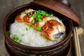 Bowl of rice topped with broiled eel in unagi sauce. Royalty Free Stock Photo