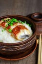 Bowl of rice topped with broiled eel in unagi sauce. Royalty Free Stock Photo