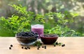 Bowl with ripe berries wild bilberries, bowl with jam of bilberries and of fruit yogurt on wooden table on background of shrubs