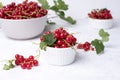 Bowl with ripe red currant berries on a white background, summer berries Royalty Free Stock Photo