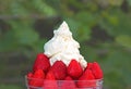 Bowl of ripe strawberries with cream Royalty Free Stock Photo