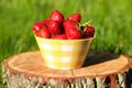 Bowl of ripe strawberries on tree stump outdoors, closeup