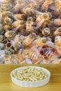 Bowl of Royal Jelly in capsules with blurred background of worker bees working in honeycomb