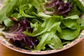 Bowl of Salad Royalty Free Stock Photo