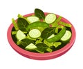 Bowl of Salad with Greenery Vector Illustration