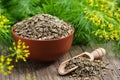 Bowl and scoop of fennel seeds and bunches of fresh green dill