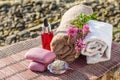 Bowl with sea salt, bottles with aromatic oil, soap, wild flower