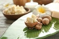 Bowl with shea butter, nuts and flower on plate Royalty Free Stock Photo