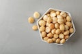 Bowl with shelled organic Macadamia nuts and space for text on grey background Royalty Free Stock Photo