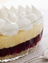 Bowl of Sherry Trifle Royalty Free Stock Photo