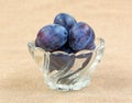 A bowl of small Italian plums