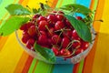 Bowl with sour cherries