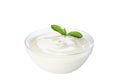Bowl of sour cream yogurt isolated