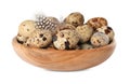 Bowl with speckled quail eggs and feathers isolated on white